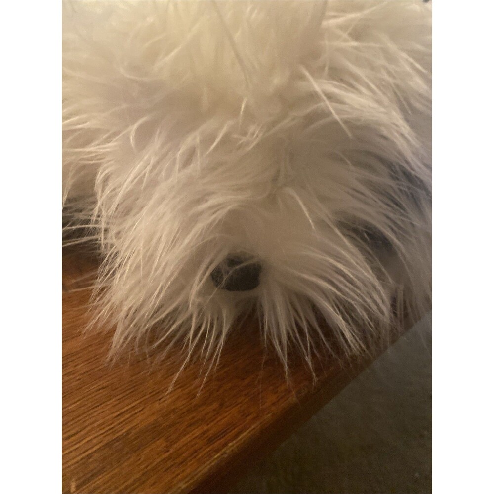 Shags- Shaggy Dog Russ Serrie & Co., Inc. Late 90's/early 00's